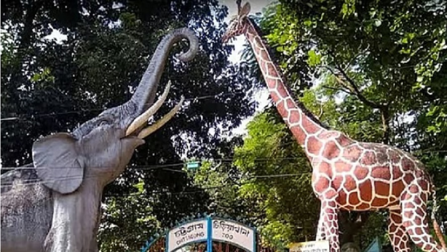 ধসে, চিড়িয়াখানা, নির্মাণাধীন, দেয়াল