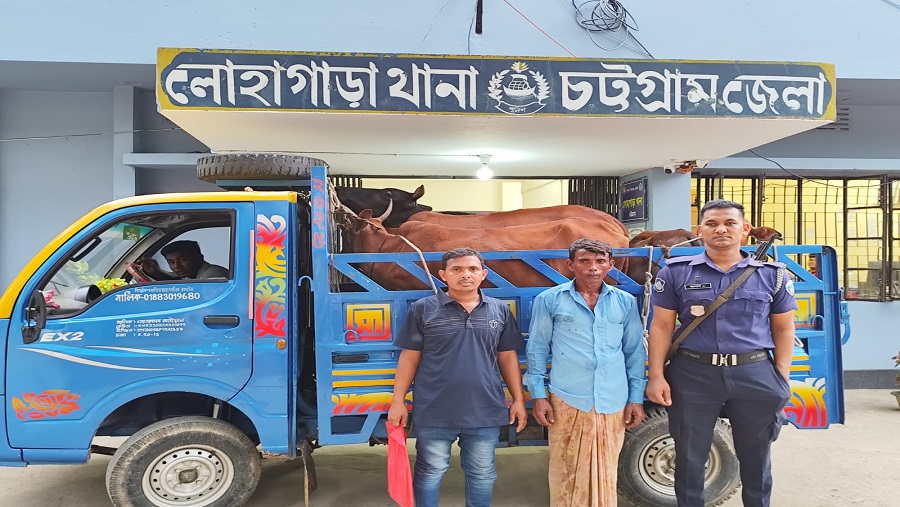 চোরাই, গরু, মালিক, পুলিশ