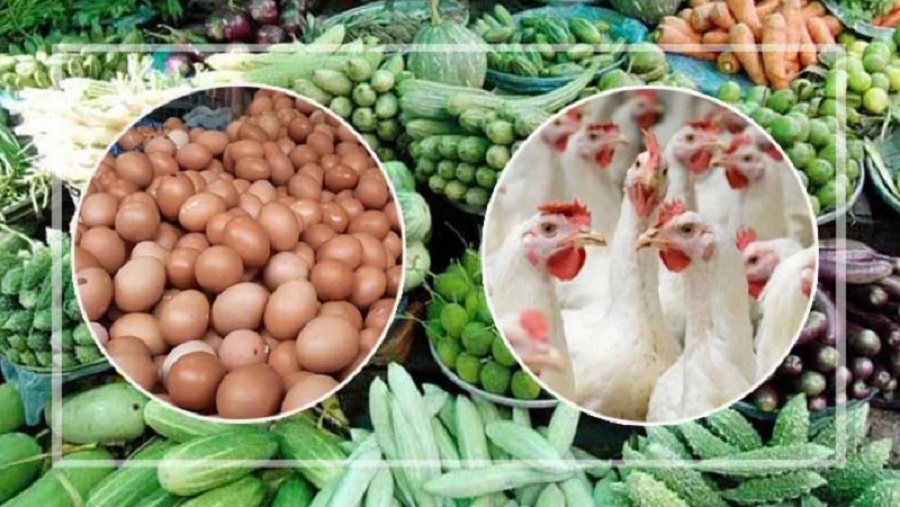 ডিম, সবজি, স্বস্তি, স্থিতিশীল, ব্রয়লার মুরগি