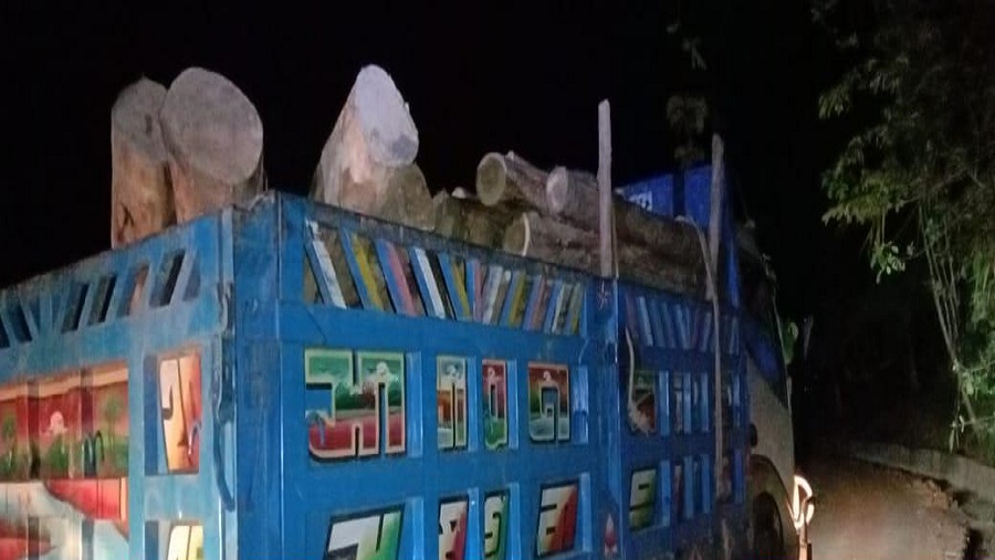 রাজস্থলী