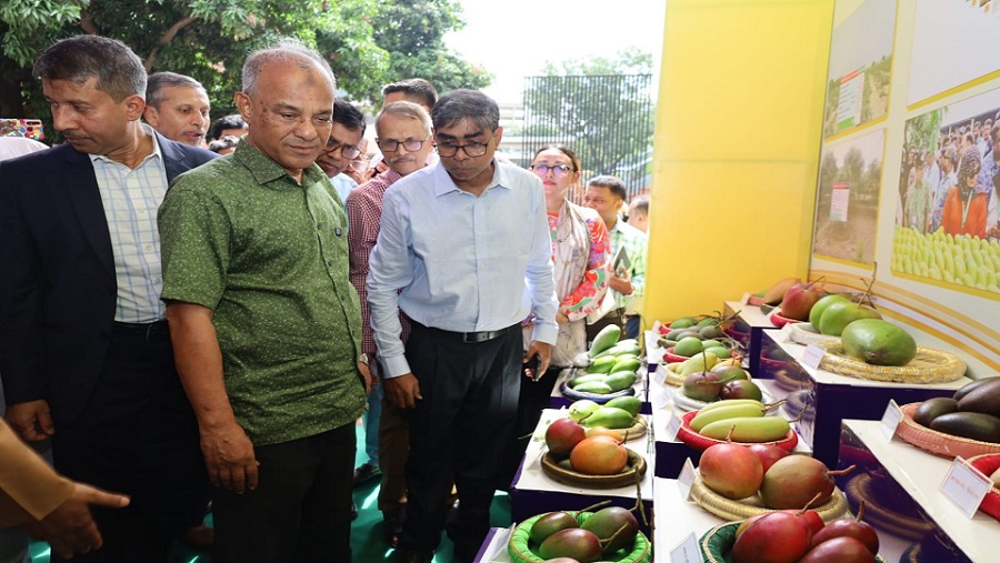 উপদেষ্টা