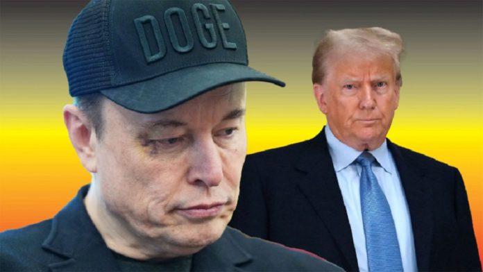 ইলন মাস্ক