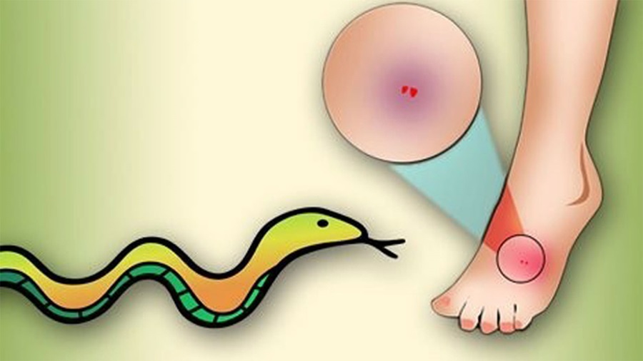 খাগড়াছড়ি