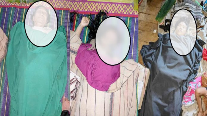 বিদ্যুৎস্পৃষ্ট