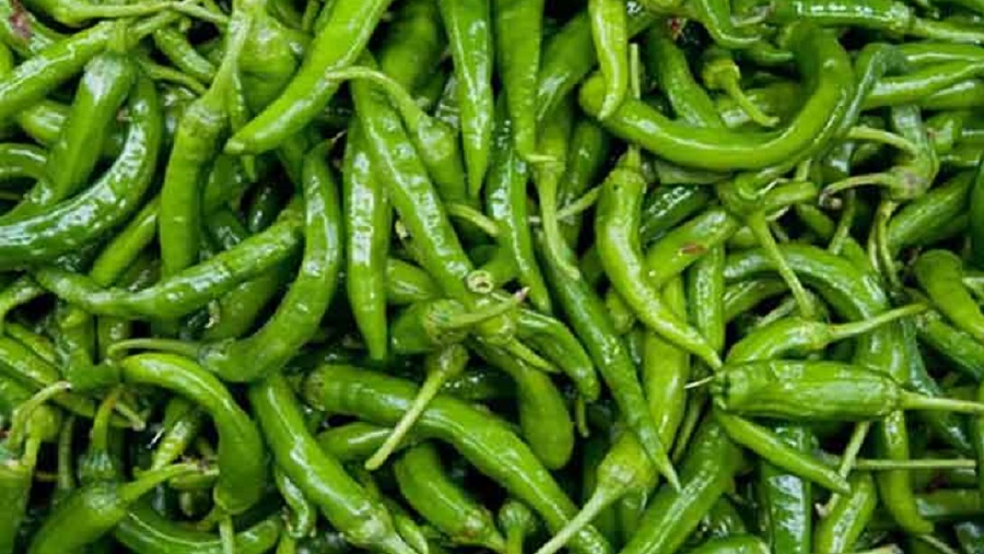 কাঁচা মরিচ
