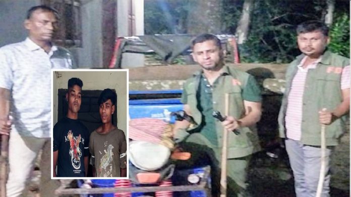 গাছ কাটা