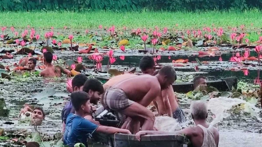 নৌকা ডুবে