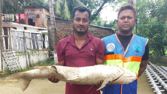 হালদা নদী