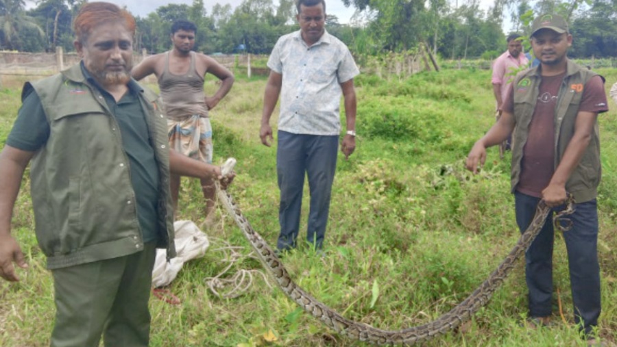 বাঁশখালী