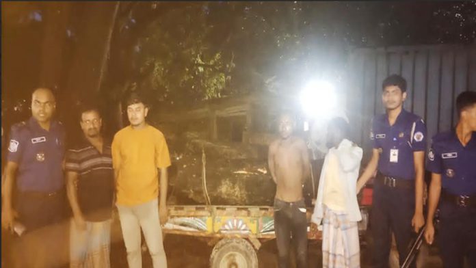 কেইপিজেড