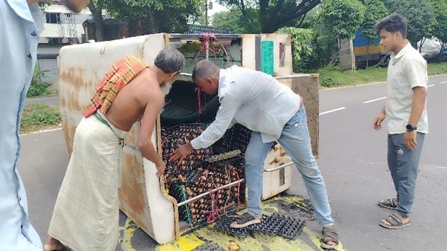 মিরসরাই