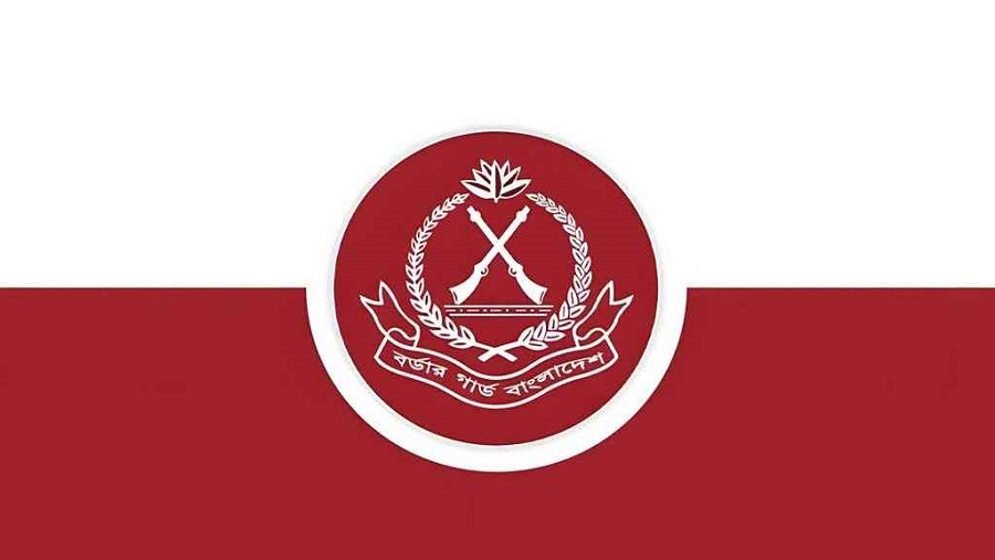 বিজিবি