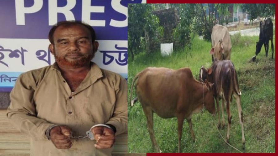 চন্দনাইশ