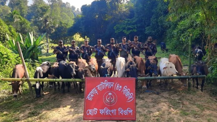 মিরসরাই