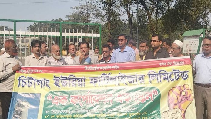 সিইউএফএল