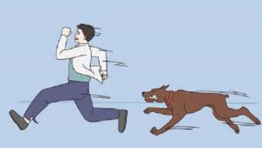 বাঁশখালী