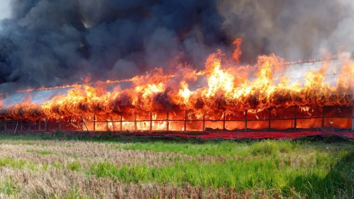 মিরসরাই