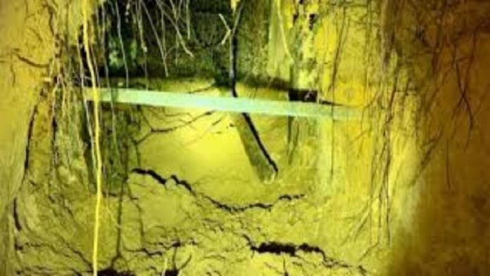 বাংলাদেশি