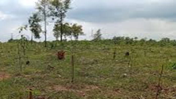 ফটিকছড়ি