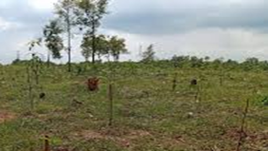 ফটিকছড়ি