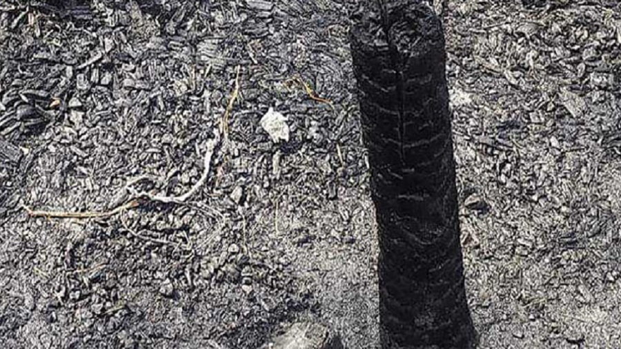 আগুন আগুন