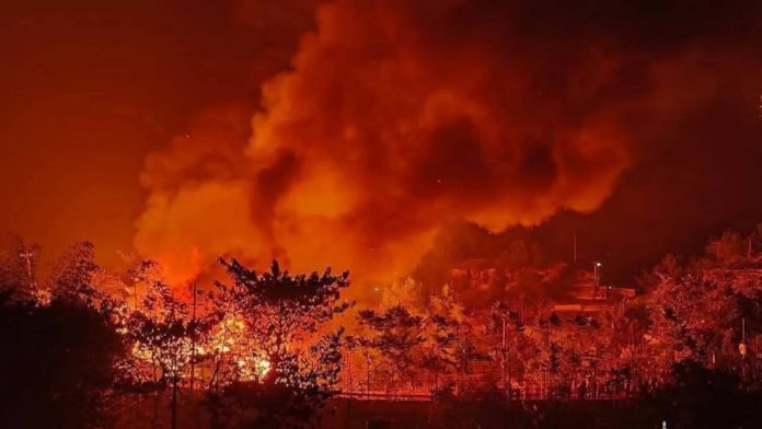 রোহিঙ্গা