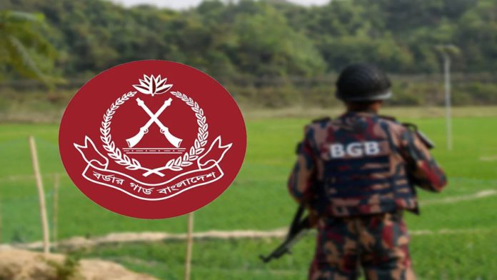 নির্বাচন