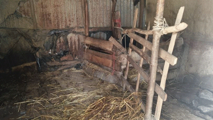 চন্দনাইশ