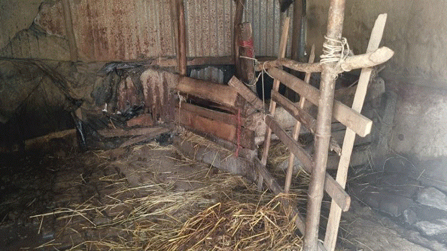 চন্দনাইশ