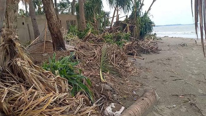 সেন্টমার্টিন