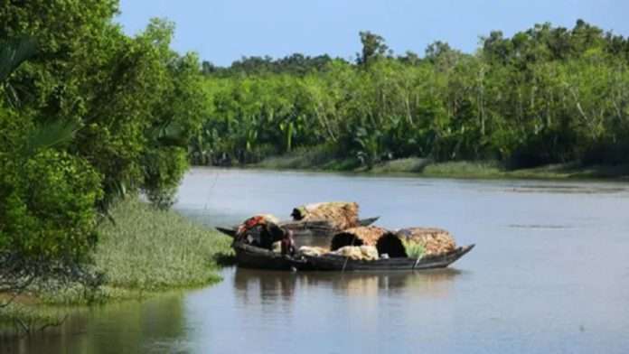 বনদস্যু