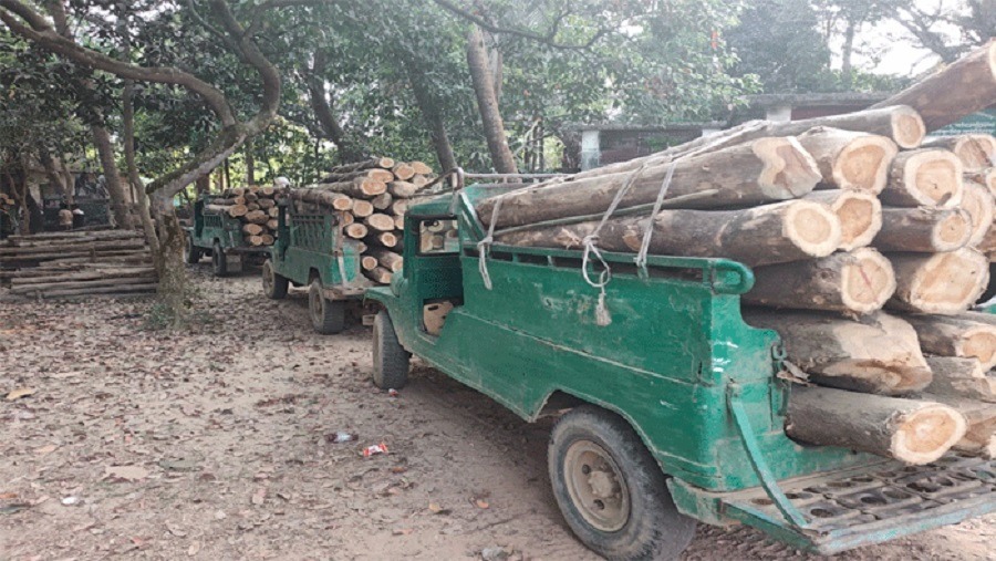 হাটহাজারী