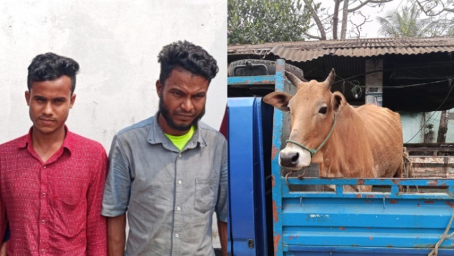 বাঁশখালী