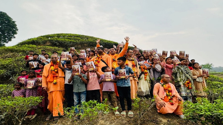 চা বাগান