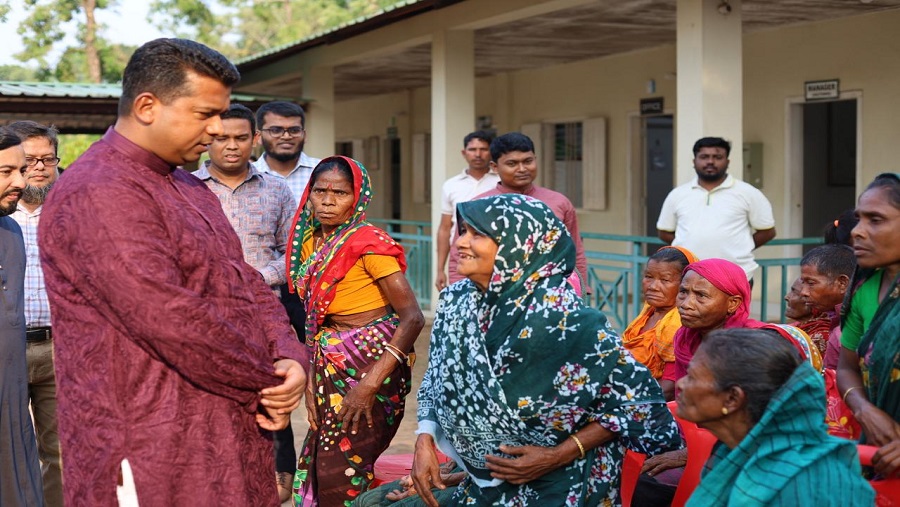 চা-বাগান