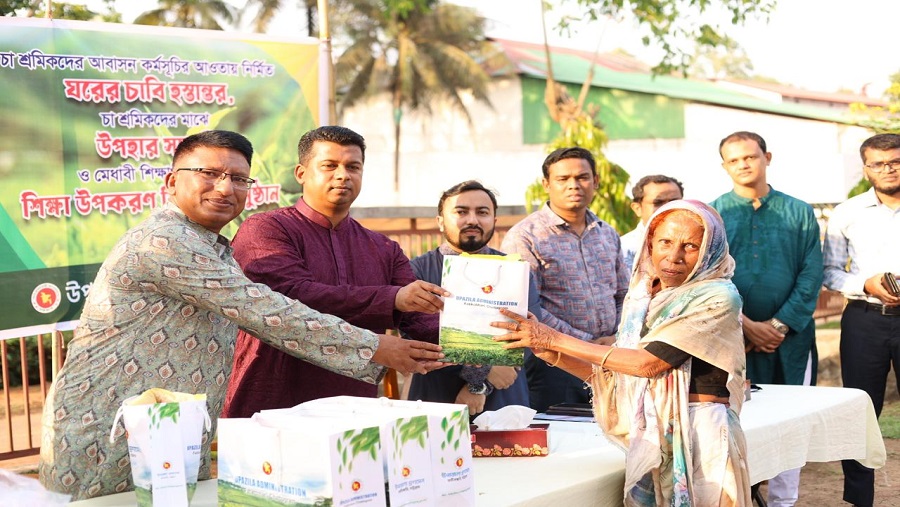 চা-বাগান