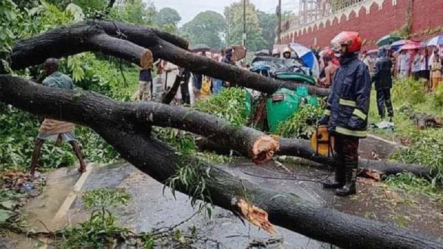 রাঙ্গুনিয়া