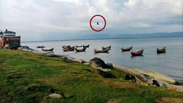 সেন্টমার্টিন