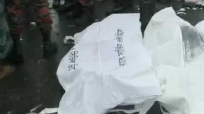 রেল