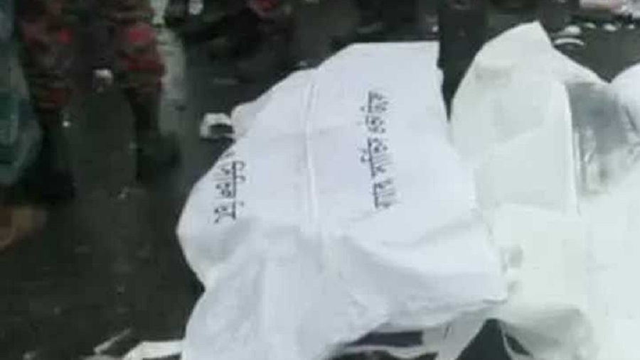 রেল