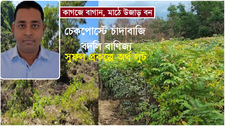 ডিএফও
