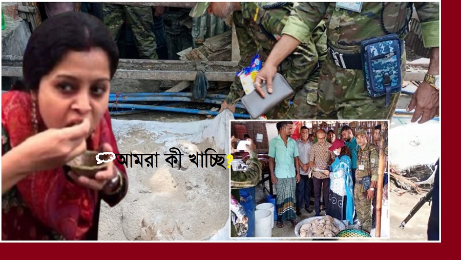ফুচকা কারখানা