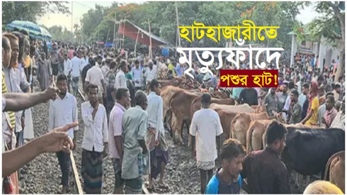 কুরবানি