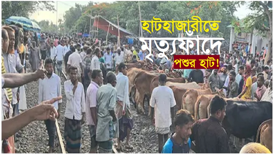 কুরবানি