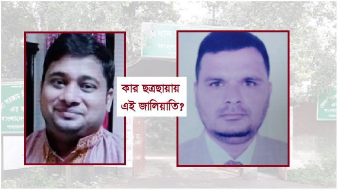 রেল