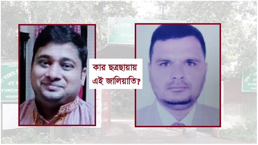 রেল