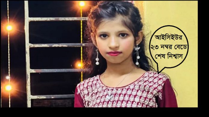 গুলি