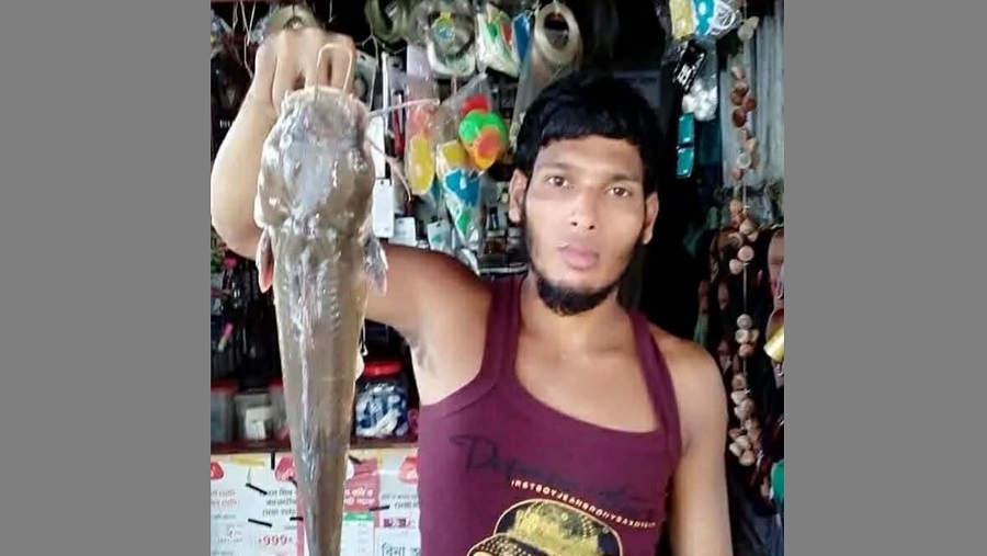 মাছ