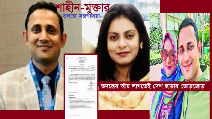 চসিক