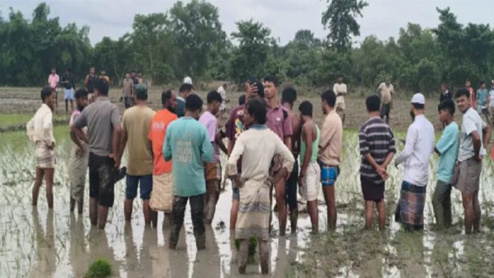 ফটিকছড়ি
